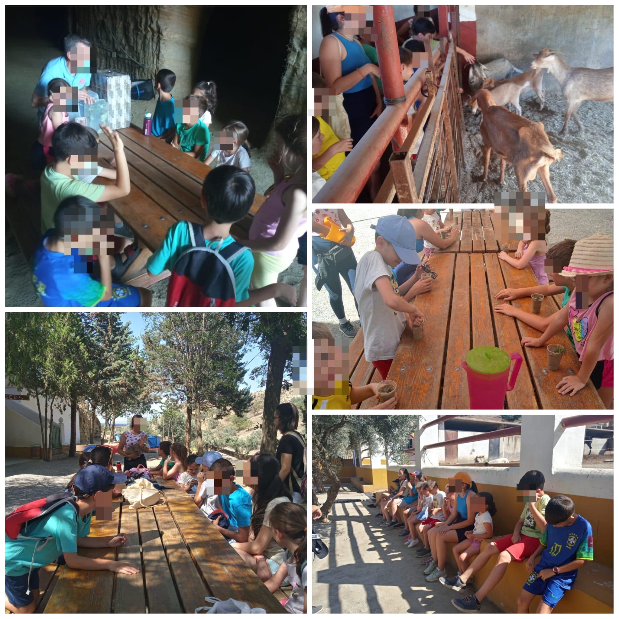 Salida de peques y niños a Granja Escuela